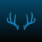 stag